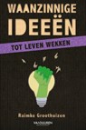 Waanzinnige ideeën tot leven wekken - Raimke Groothuizen - 9789493480346