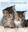 Niedliche Katzenkinder -  - 4002725953506