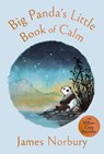 Big Panda's Little Book of Calm - James Norbury - 9780241825136