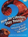 Bug Club Independent Non Fiction Year 3 Brown A How Do Lobsters Stay Young? - Jillian Powell - 9780435075781
