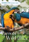 Parrots of the Wild - Catherine A. Toft ; Timothy F. Wright - 9780520239258