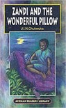 Zandi and the Wonderful Pillow - Jin Chukwuka - 9780719571251