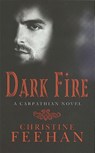 Dark Fire - Christine Feehan - 9780749937843