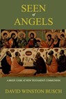 Seen of Angels - David Winston Busch - 9781034228837