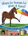 Where Do Horses Go When It Rains? - Katherine Rawson - 9781398248472
