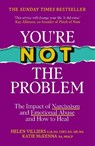 You’re Not the Problem - Katie McKenna ; Helen Villiers - 9781399719278