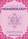 Little Bit of Numerology, A - Novalee Wilder - 9781454936114