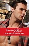 Harlequin Blaze January 2015 Box Set - Kate Hoffmann ; Kelli Ireland ; Serena Bell ; Katherine Garbera - 9781460350584