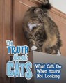 The Truth about Cats - COLSON,  Mary - 9781474738538