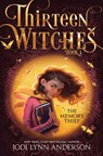 Anderson, J: Memory Thief - Jodi Lynn Anderson - 9781481480222