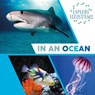 Explore Ecosystems: In an Ocean - Sarah Ridley - 9781526322272