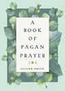A Book of Pagan Prayer - Ceisiwr Serith - 9781578636495