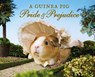 A Guinea Pig Pride & Prejudice - Jane Austen ; Alex Goodwin ; Tess Newall - 9781632862426