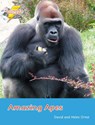 Amazing Apes - Orme David - 9781781270684