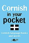 Cornish in Your Pocket - Y Lolfa - 9781784618766