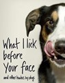 What I Lick Before Your Face ... and Other Haikus By Dogs - Jamie Coleman - 9781787631144