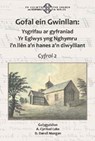 Gofal ein Gwinllan 2 - Y Lolfa - 9781800995871