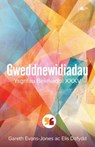 Gweddnewidiadau Ysgrifau Beirniadol XXXV - Y Lolfa - 9781800996281