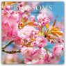 Blossoms - Blüten 2025 - 16-Monatskalender -  - 9781837889488