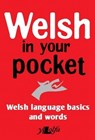 Welsh in your pocket - Y Lolfa - 9781847718778