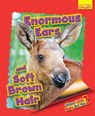 Whose Little Baby Are You? Enormous Ears and Soft Brown Hair - Ellen Lawrence - 9781911341574