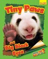 Whose Little Baby Are You? Tiny Paws and Big Black Eyes - Ellen Lawrence - 9781911341628