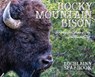 Seabrook, L: Rocky Mountain Bison - Lochlainn Seabrook - 9781955351492