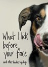 What I Lick Before Your Face - Jamie Coleman - 9781982127442