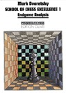 School of Chess Excellence 1 - Mark Dvoretsky - 9783283004163