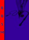 Erotische Geschichten BDSM Band 1. - Otmar Trierweiler - 9783818798468