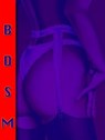 Erotische Geschichten BDSM Band 2. - Otmar Trierweiler - 9783818798475