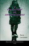 A Collection of Consciousness - Sara Levinson - 9789373149370