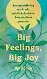 Big Feelings, Big Joy - April Snow - 9789401306690