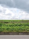 Bicycle Landscape / Bicycle Landscape -  - 9789462083875