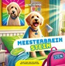Meesterbrein Stein - René Kemper - 9789493407565