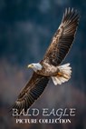 Bald Eagle Photo Collection: Beautiful Full-Page Pictures of Bald Eagles and Eaglets for All Ages (Simple Photo Books). - Ymi Collection - 9798243396660