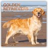 Golden Retrievers 2027 12 X 24 Inch (Hanging) Monthly Square Wall Calendar Foil Stamped Cover Plastic-Free -  - 9798330712472