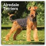 Airedale Terriers 2027 12 X 24 Inch (Hanging) Monthly Square Wall Calendar Plastic-Free -  - 9798330714049