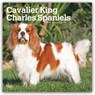 Cavalier King Charles Spaniels 2027 12 X 24 Inch (Hanging) Monthly Square Wall Calendar Plastic-Free -  - 9798330714148