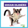 Sugar Gliders - Natalie Deniston - 9798892135252
