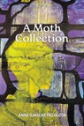 A Moth Collection - Anna Ojascastro Guzon - 9798899904554