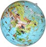 Opblaasbare globe/wereldbol 30 cm Dieren - Caly - 3760039940629