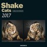 Shake Cats 2017 (30x30 cm) - DAVIDSON,  Carli - 4002725787170