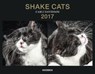 Shake Cats - DAVIDSON,  Carli - 4002725787194