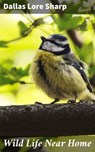 Wild Life Near Home - Dallas Lore Sharp - 4064066156299