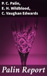 Palin Report - P. C. Palin ; E. H. Wildblood ; C. Vaughan Edwards - 4064066449230