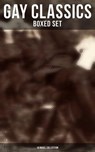 Gay Classics - Boxed Set: 10 Novel Collection - Oscar Wilde ; Radclyffe Hall ; Virginia Woolf ; Sheridan Le Fanu ; Theodore Winthrop ; Bayard Taylor ; Robert Hichens ; Harlan Cozad McIntosh ; Henry Blake Fuller ; Jack Saul ; Lucas Malet - 4066338115065