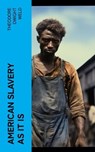 American Slavery as It is - Theodore Dwight Weld - 4066339551817