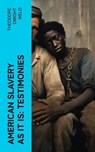 American Slavery as It is: Testimonies - Theodore Dwight Weld - 4066339553309