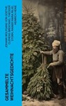 Gesammelte Weihnachtsgedichte - Johann Wolfgang von Goethe ; Clemens Brentano ; Theodor Storm ; Rainer Maria Rilke ; Heinrich Heine ; Theodor Fontane ; Ludwig Thoma ; Hedwig Lachmann ; Martin Luther ; Joachim Ringelnatz ; Heinrich Seidel ; Kurt Tucholsky ; Anna Ritter - 4066339577190